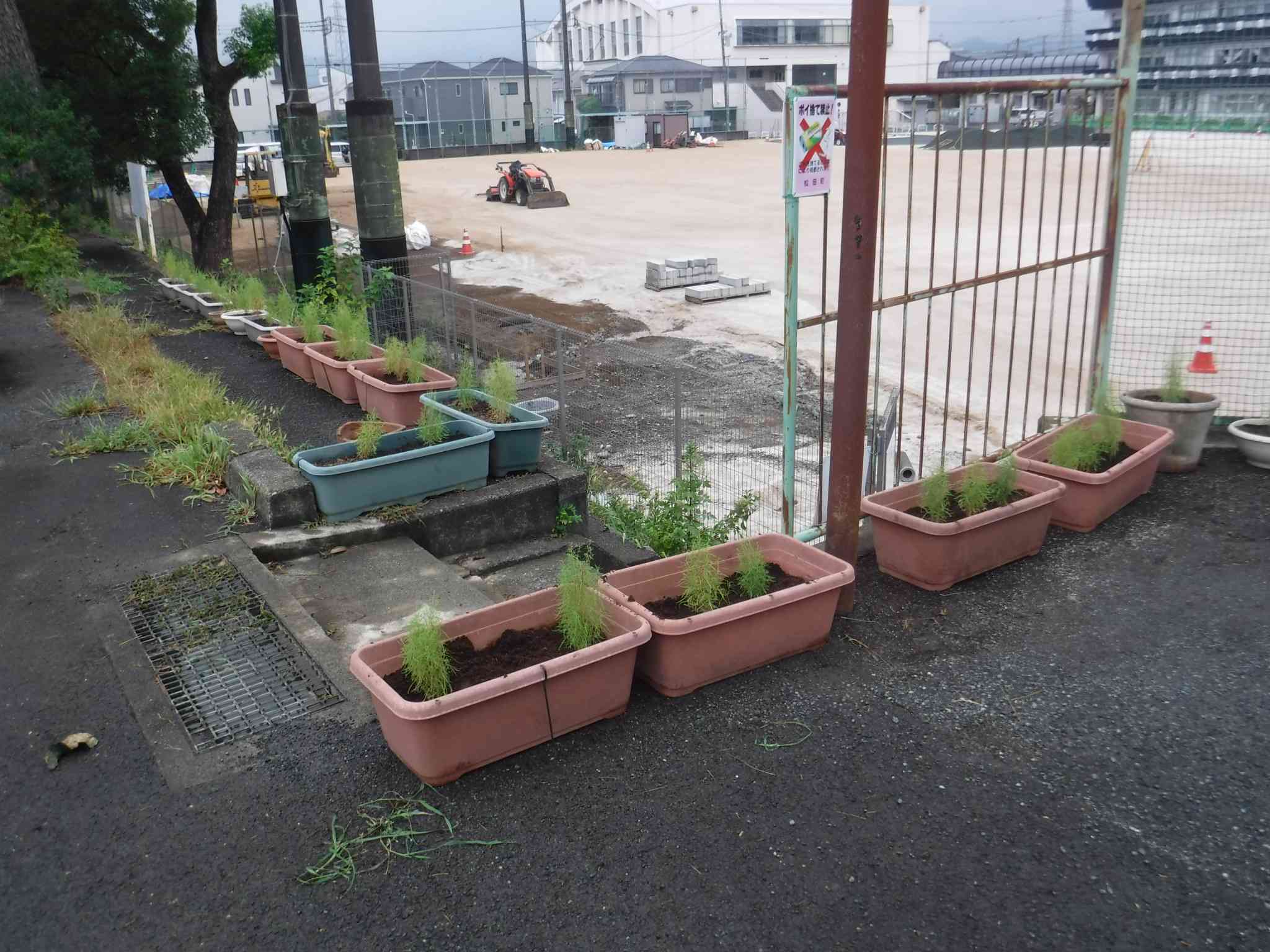 ○DSCF0103