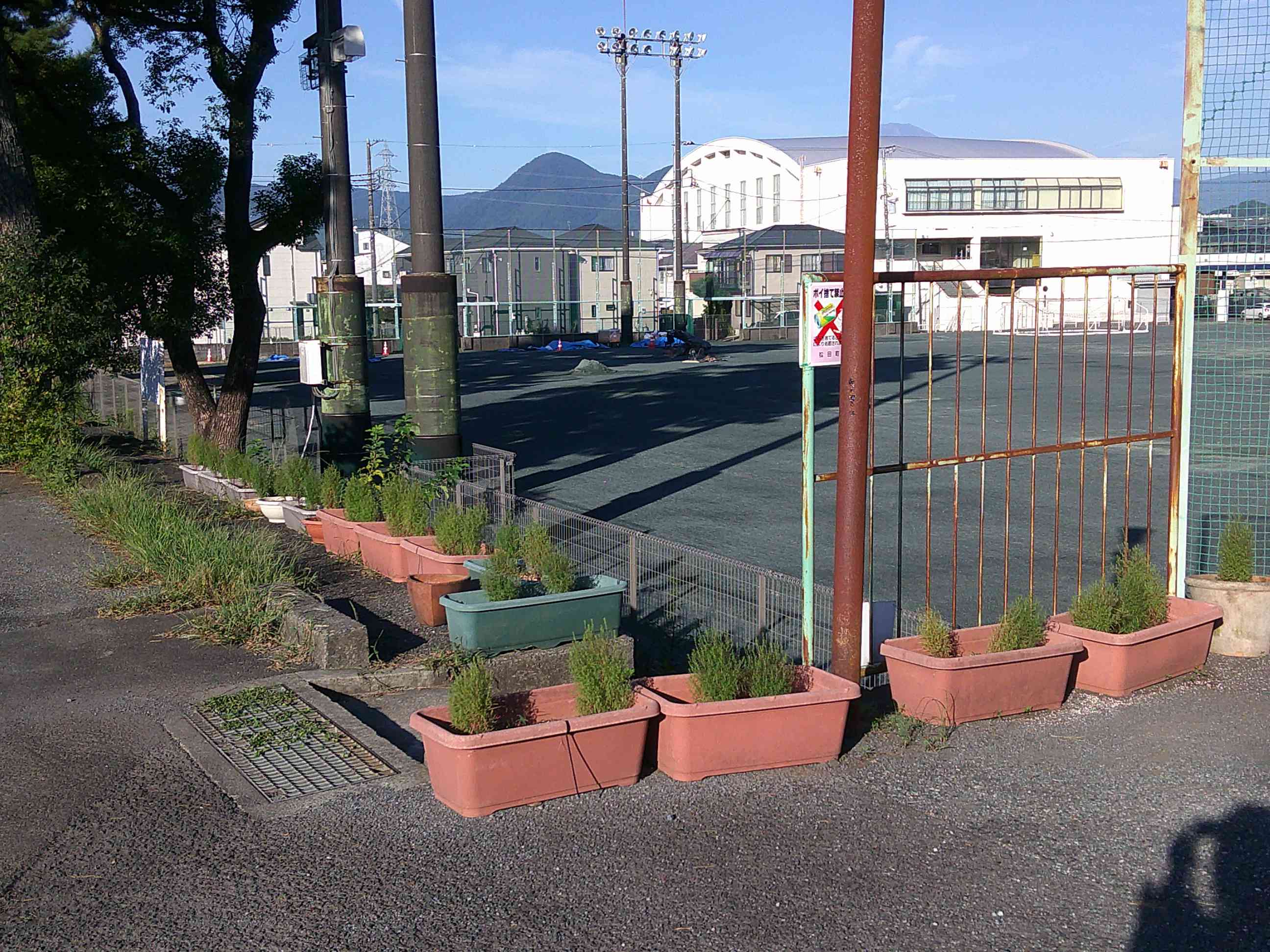☆全体DSCF0028