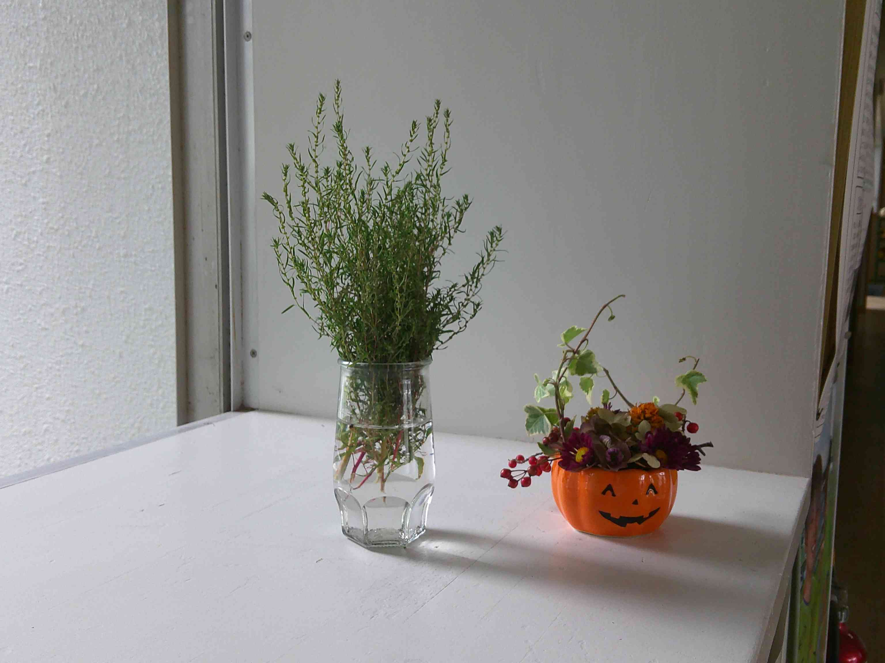 ○DSCF0246