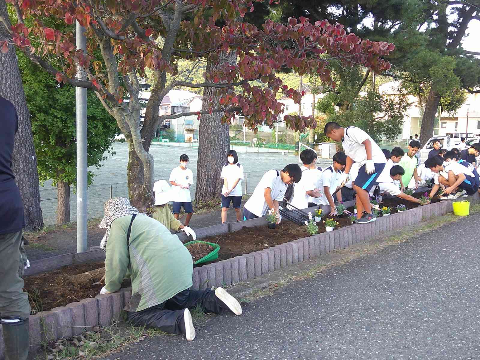 ○DSCF0488